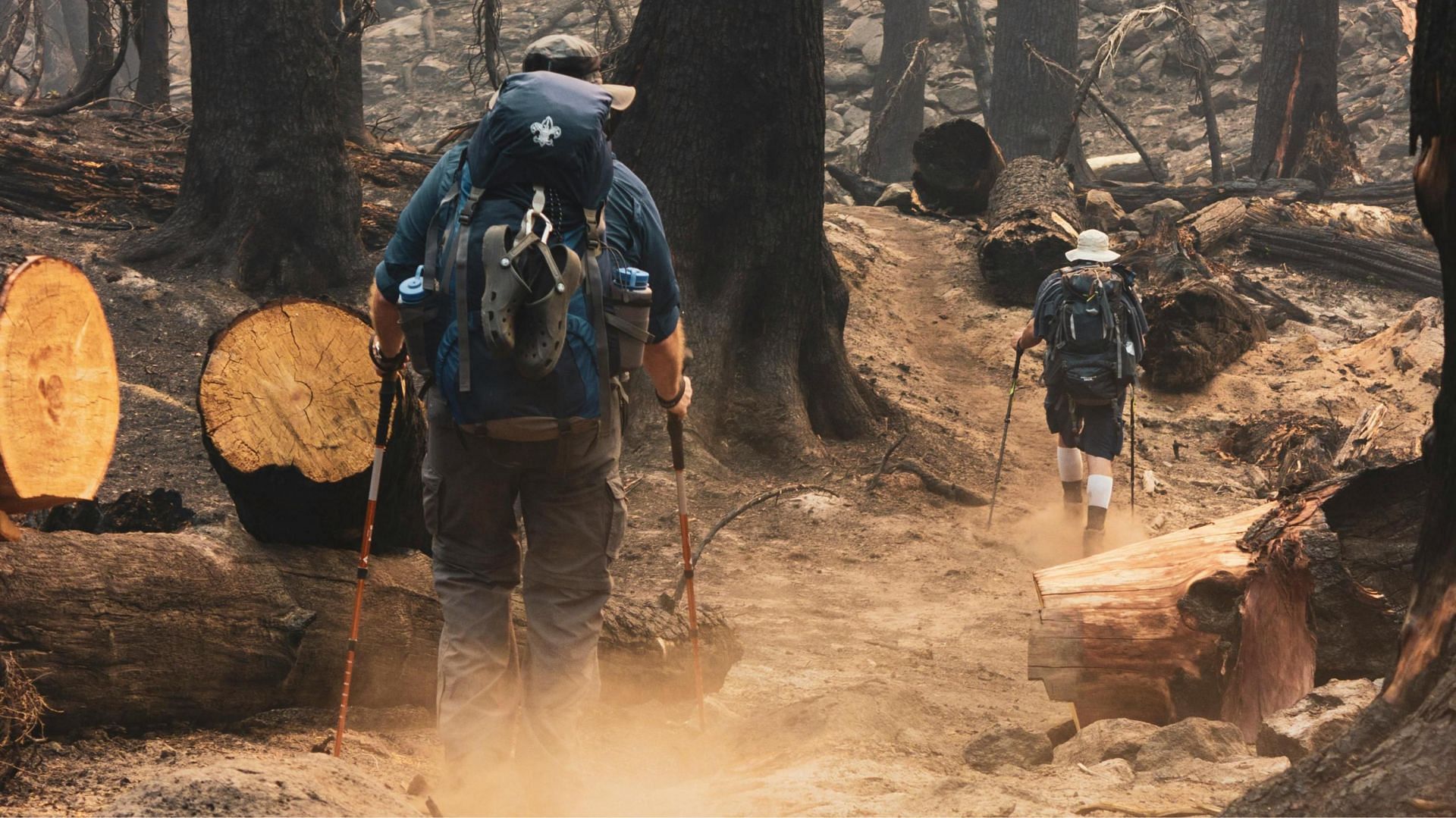 Survival Mode: Hawaii’s Deadliest Wildfires (Representative image via Pexels)